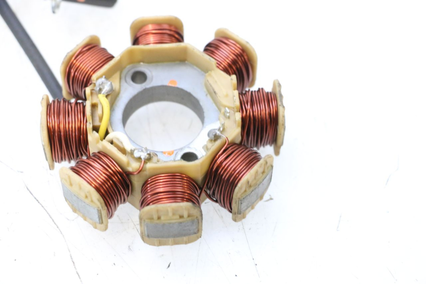 photo de ROTOR STATOR JM MOTORS EVOLIS 4T 50 (2018 - 2022) - Widok ogólny