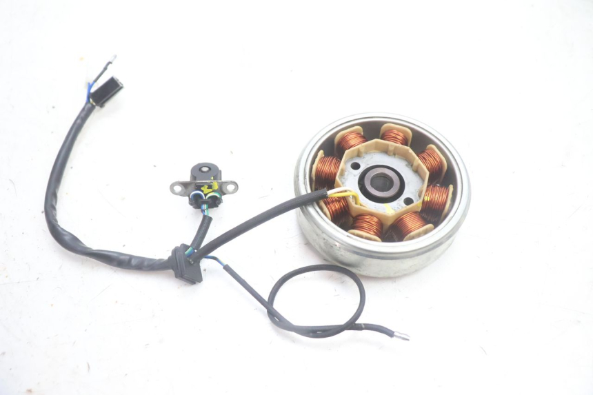 photo de ROTOR STATOR JM MOTORS EVOLIS 4T 50 (2018 - 2022) - Zoom stanu zużycia
