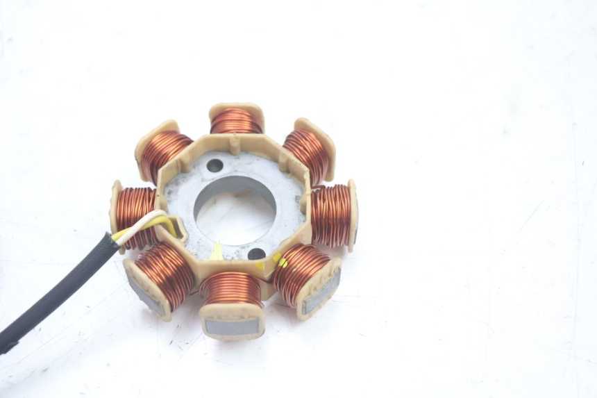 photo de ROTOR STATOR JM MOTORS EVOLIS 4T 50 (2018 - 2022) - Zbliżenie techniczne
