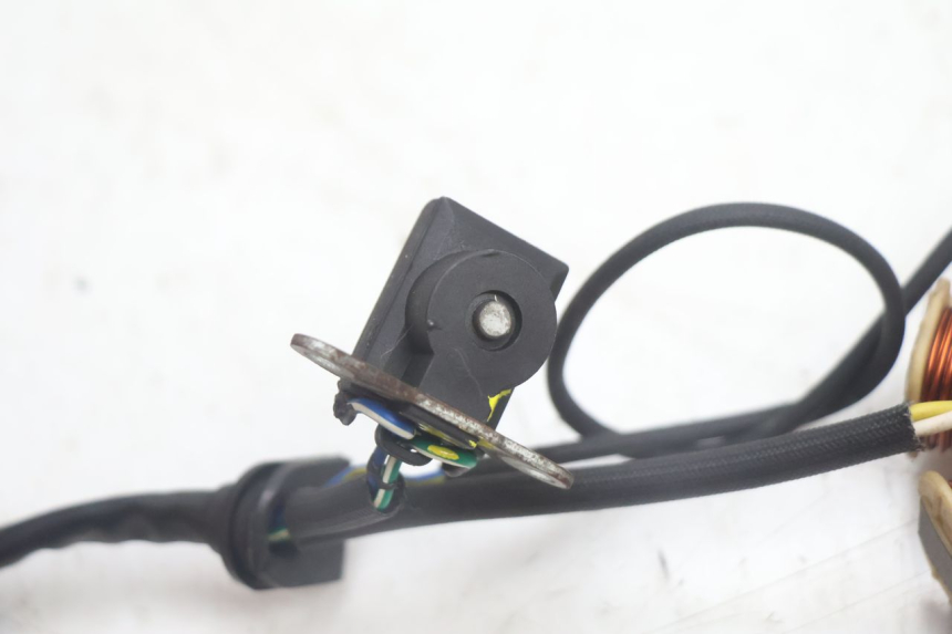 photo de ROTOR STATOR JM MOTORS EVOLIS 4T 50 (2018 - 2022) - Widok ogólny