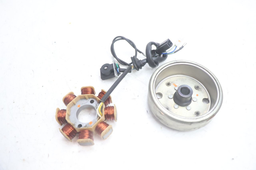 photo de ROTOR STATOR JM MOTORS EVOLIS 4T 50 (2018 - 2022) - Widok główny