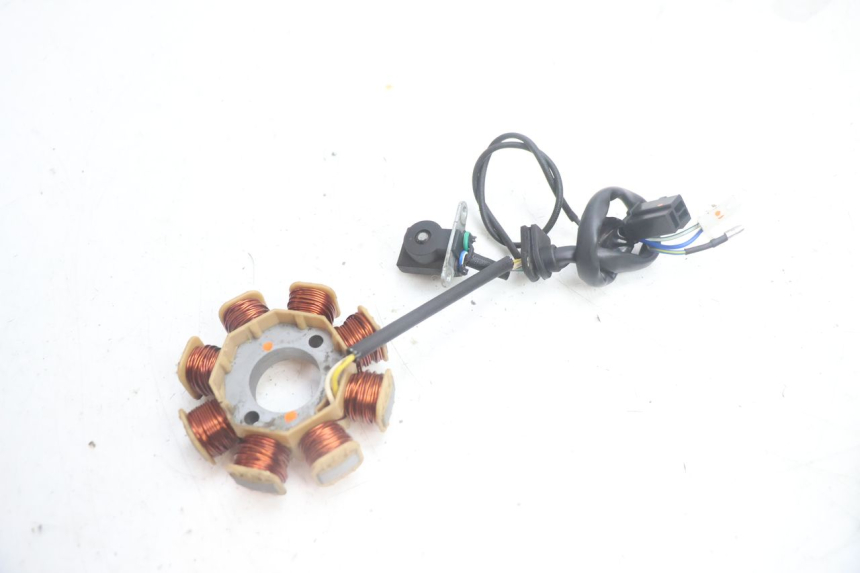 photo de ROTOR STATOR JM MOTORS EVOLIS 4T 50 (2018 - 2022) - Punkty mocowania