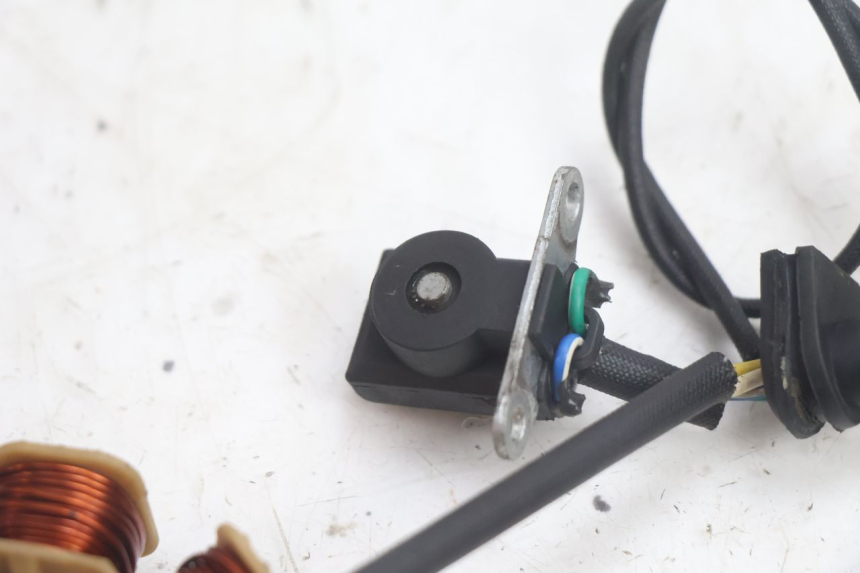 photo de ROTOR STATOR JM MOTORS EVOLIS 4T 50 (2018 - 2022) - Część sprawdzona