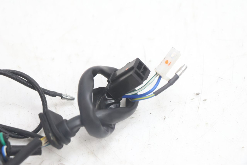 photo de ROTOR STATOR JM MOTORS EVOLIS 4T 50 (2018 - 2022) - Oznaczenia i referencje