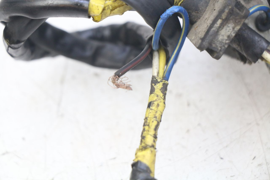 photo de ROTOR STATOR PEUGEOT LUDIX 50 (2005 - 2007) - Widok ogólny