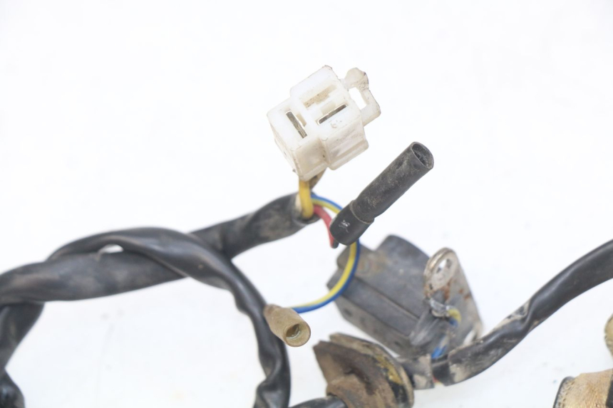 photo de ROTOR STATOR JM MOTORS OLDIES 4T 50 (2010 - 2020) - Zoom stanu zużycia