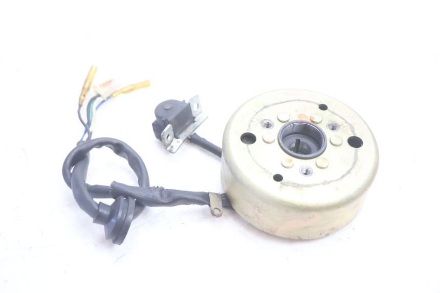 photo de ROTOR STATOR IMF INDUSTRIE PACH 2T 50 (2009 - 2013) - Zoom stanu zużycia