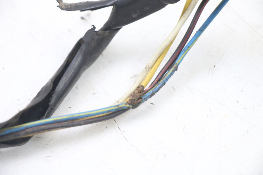 photo de ROTOR STATOR PEUGEOT TKR TREKKER FURIOUS 50 (2005 - 2014) - Zbliżenie komponentów