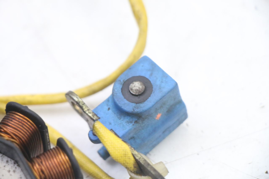 photo de ROTOR STATOR PIAGGIO X8 125 (2004 - 2007) - Część sprawdzona