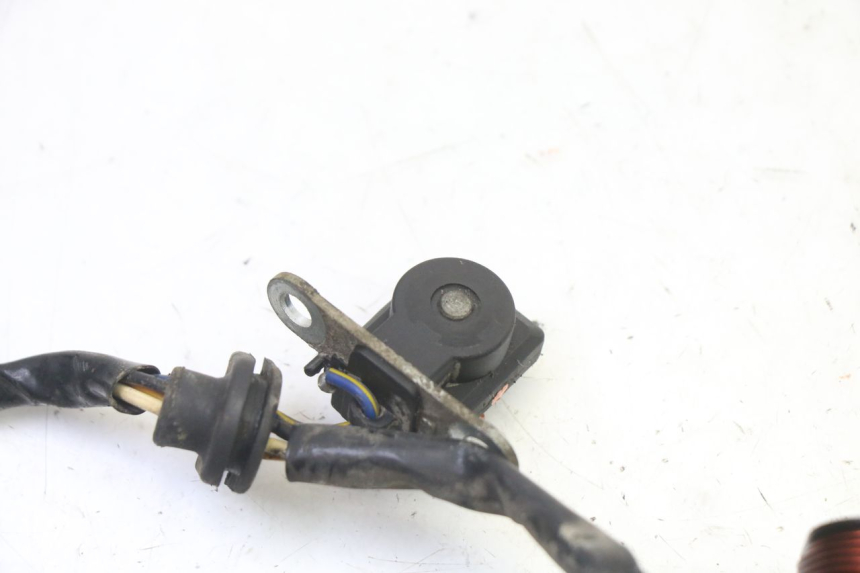 photo de ROTOR STATOR PGO RODOSHOW 2T 50 (2003 - 2007) - Widok ogólny