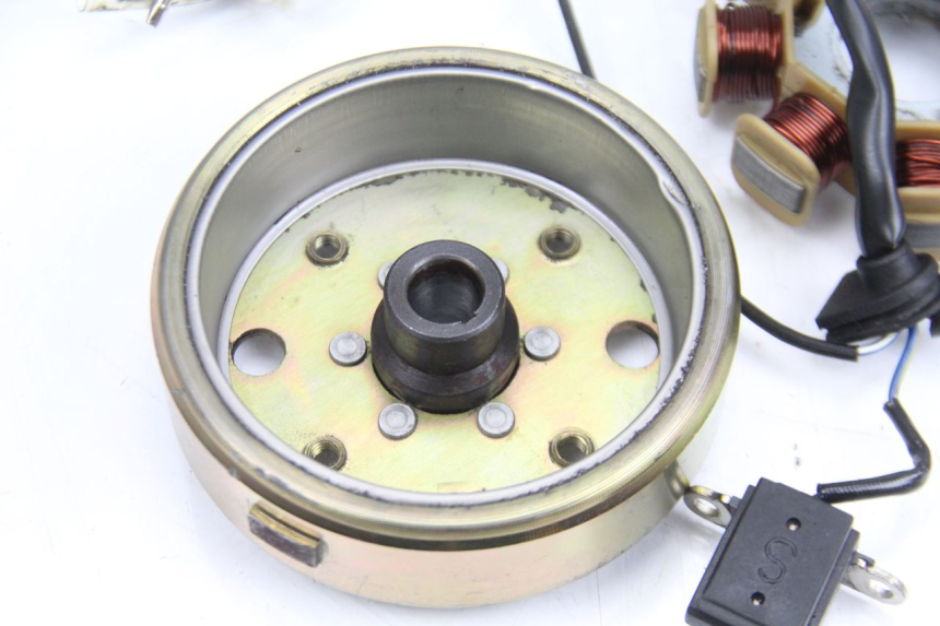 photo de ROTOR STATOR TNT MOTOR ROMA 10' 4T 50 (2007 - 2018) - Zbliżenie techniczne