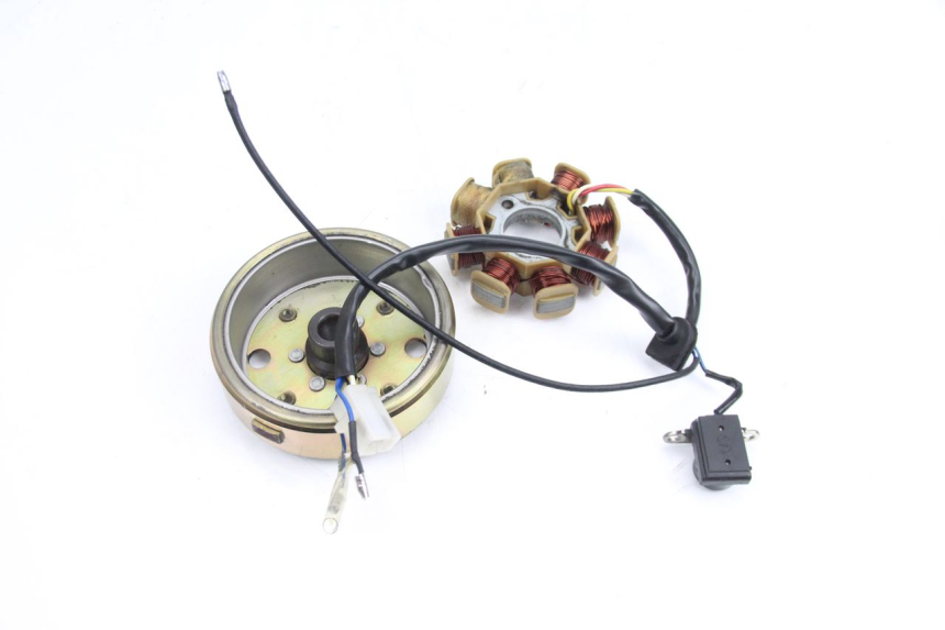 photo de ROTOR STATOR TNT MOTOR ROMA 10' 4T 50 (2007 - 2018) - Widok ogólny