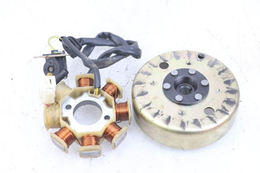 photo de ROTOR STATOR TNT MOTOR ROMA 10' 4T 50 (2007 - 2018) - Zoom stanu zużycia