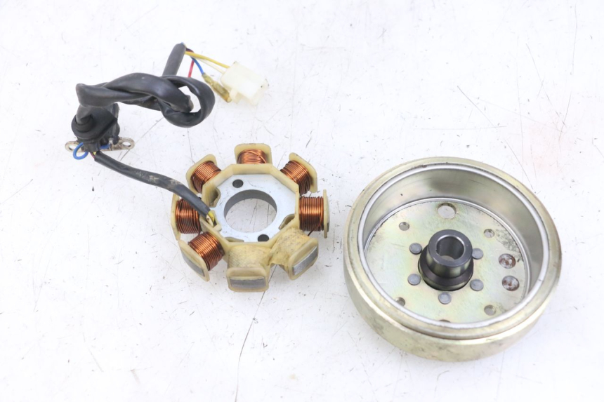 photo de ROTOR STATOR TNT MOTOR ROMA 10' 4T 50 (2007 - 2018) - Zbliżenie techniczne