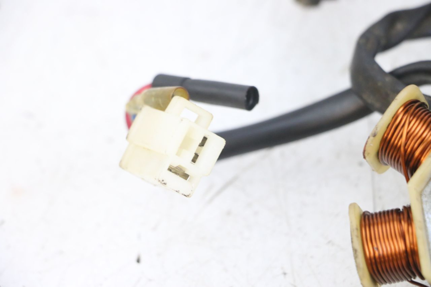 photo de ROTOR STATOR TNT MOTOR ROMA 10' 4T 50 (2007 - 2018) - Punkty mocowania