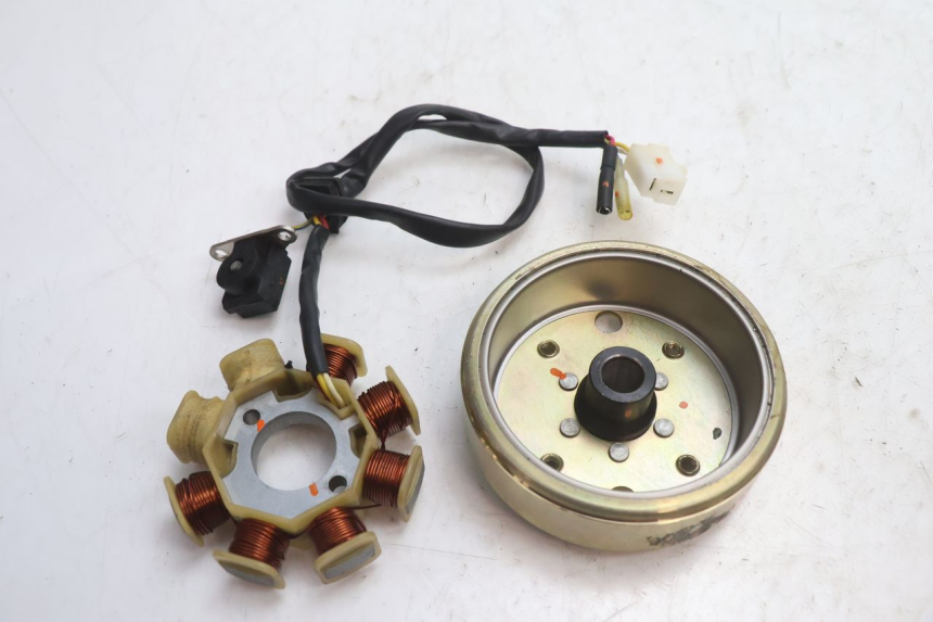 photo de ROTOR STATOR TNT MOTOR ROMA 10' 4T 50 (2007 - 2018) - Szczegół części