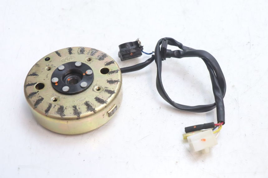 photo de ROTOR STATOR TNT MOTOR ROMA 10' 4T 50 (2007 - 2018) - Zoom stanu zużycia