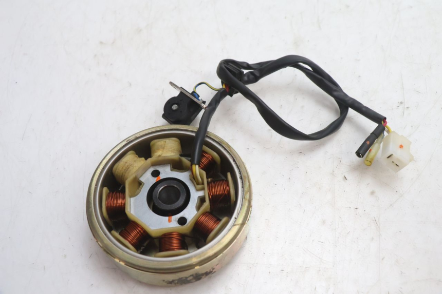 photo de ROTOR STATOR TNT MOTOR ROMA 10' 4T 50 (2007 - 2018) - Inny kąt widzenia