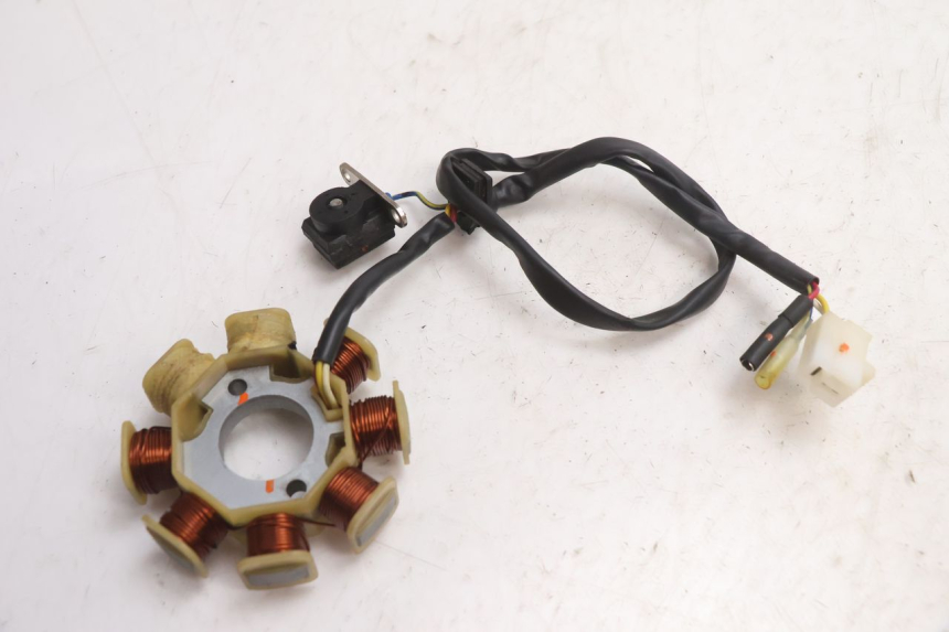 photo de ROTOR STATOR TNT MOTOR ROMA 10' 4T 50 (2007 - 2018) - Zbliżenie techniczne