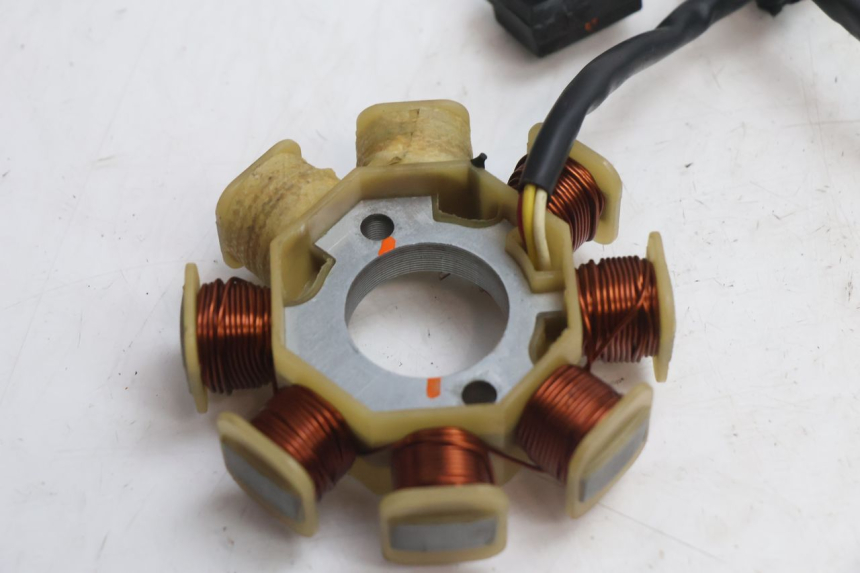 photo de ROTOR STATOR TNT MOTOR ROMA 10' 4T 50 (2007 - 2018) - Widok ogólny
