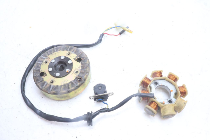 photo de ROTOR STATOR TNT MOTOR ROMA 10' 4T 50 (2007 - 2018) - Widok główny