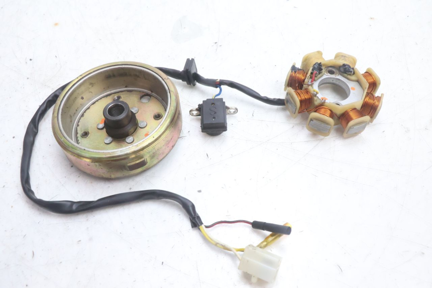 photo de ROTOR STATOR TNT MOTOR ROMA 10' 4T 50 (2007 - 2018) - Szczegół części