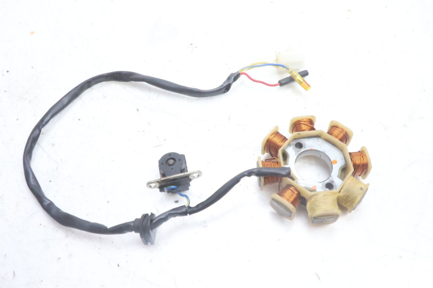 photo de ROTOR STATOR TNT MOTOR ROMA 10' 4T 50 (2007 - 2018) - Punkty mocowania