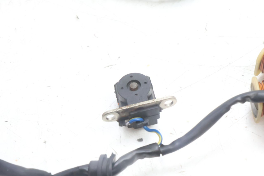 photo de ROTOR STATOR TNT MOTOR ROMA 10' 4T 50 (2007 - 2018) - Część sprawdzona
