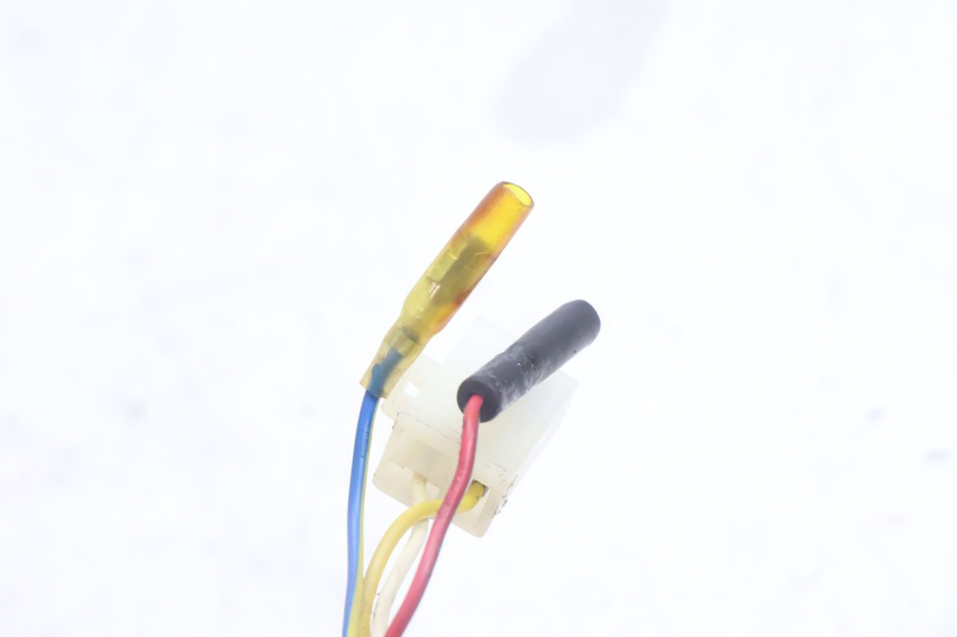 photo de ROTOR STATOR TNT MOTOR ROMA 10' 4T 50 (2007 - 2018) - Oznaczenia i referencje