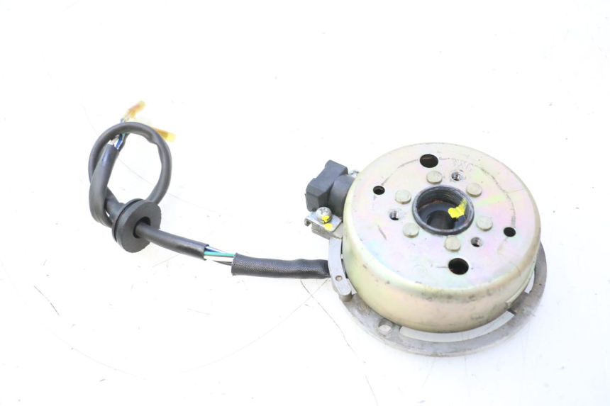 photo de ROTOR STATOR TNT MOTOR ROMA 12' 2T 50 (2007 - 2018) - Szczegół części