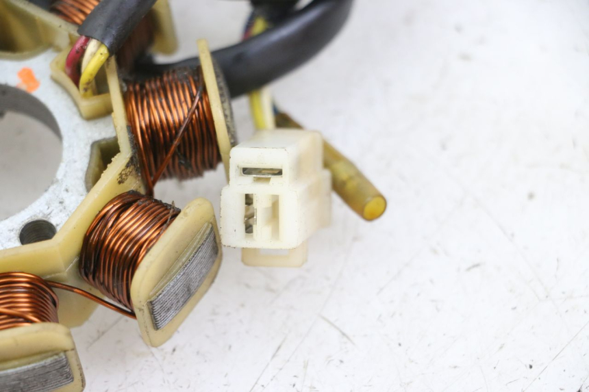 photo de ROTOR STATOR JM MOTORS SUNNY 50 (2017 - 2020) - Inny kąt widzenia