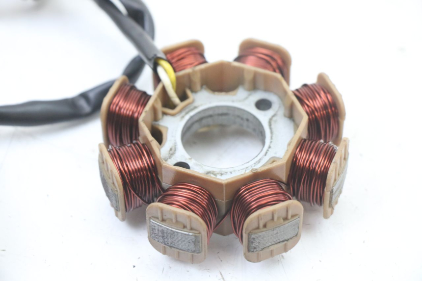 photo de ROTOR STATOR TNT MOTOR ROMA 10' 4T 50 (2019 - 2022) - Widok ogólny