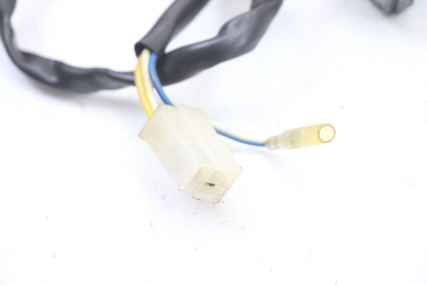 photo de ROTOR STATOR TNT MOTOR ROMA 10' 4T 50 (2019 - 2022) - Część sprawdzona