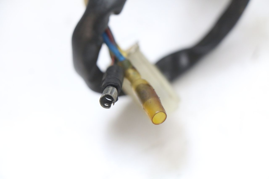 photo de ROTOR STATOR PEUGEOT V-CLIC VCLIC 50 (2007 - 2013) - Widok produktu