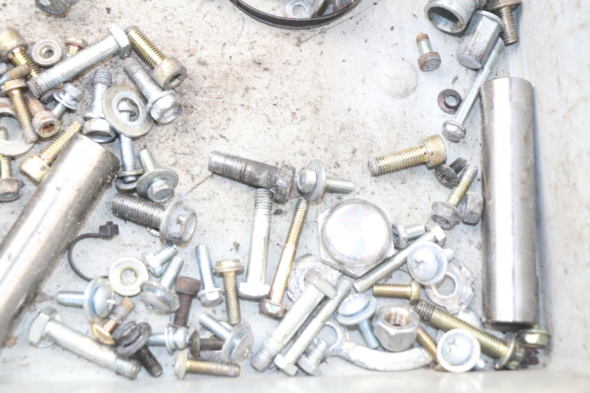 photo de WOREK ŚRUB I ŚRUBEK HYOSUNG AQUILA GV 125 (2009 - 2016) - Zoom stanu zużycia