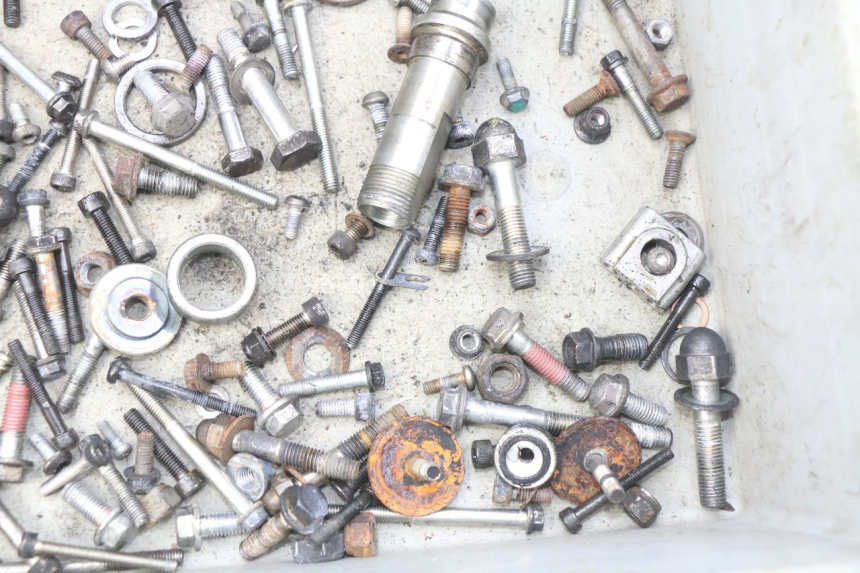 photo de WOREK ŚRUB I ŚRUBEK ROYAL ENFIELD BULLET CLASSIC 500 (2017 - 2020) - Zoom stanu zużycia