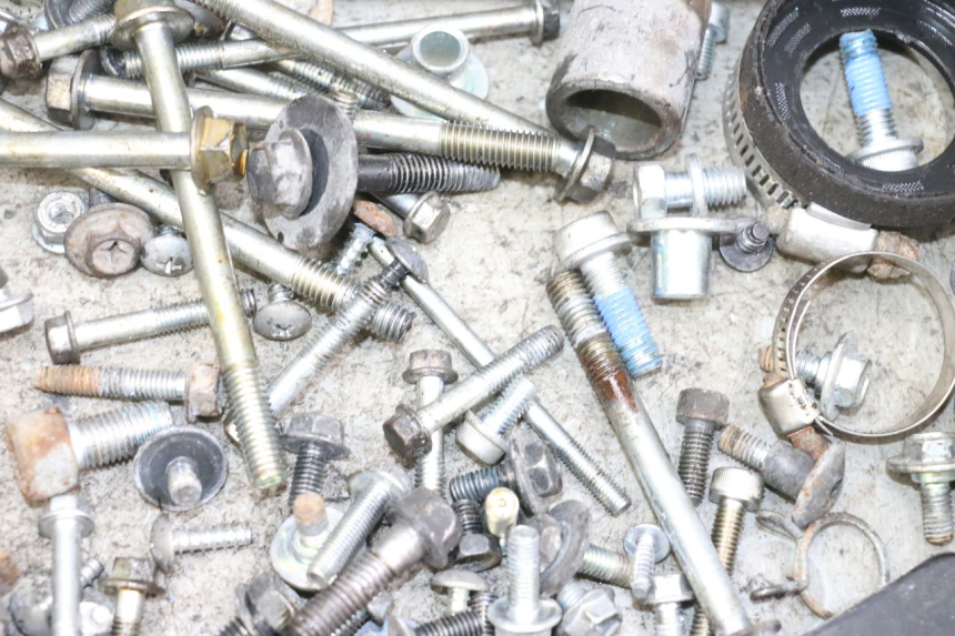 photo de WOREK ŚRUB I WKRĘTÓW SUZUKI BURGMAN 650 (2013 - 2020) - Widok ogólny