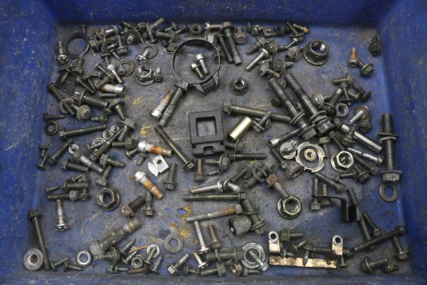 photo de WOREK ŚRUB I WKRĘTÓW LONGJIA EASY MAX 125 (2020 - 2024) - Widok główny