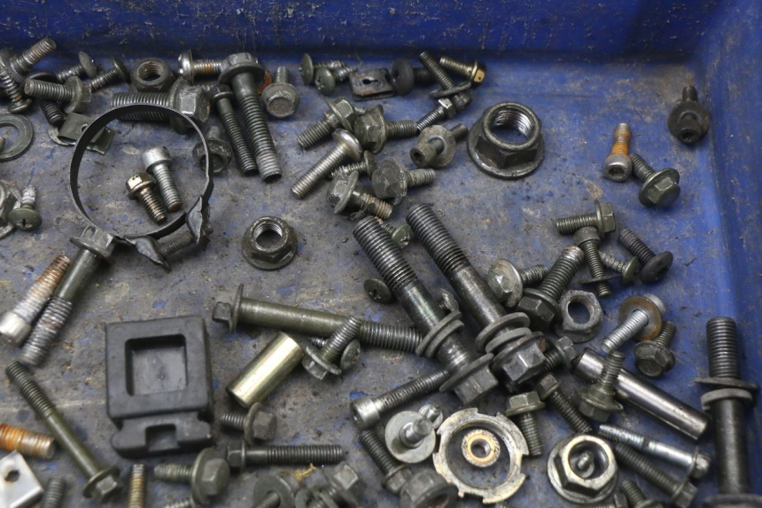 photo de WOREK ŚRUB I WKRĘTÓW LONGJIA EASY MAX 125 (2020 - 2024) - Zoom stanu zużycia