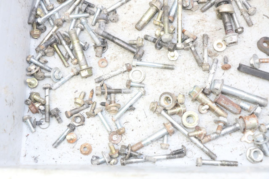 photo de TORBA ZESTAW ŚRUB I WKRĘTÓW SYM FIDDLE 2 50 (2008 - 2013) - Zoom stanu zużycia