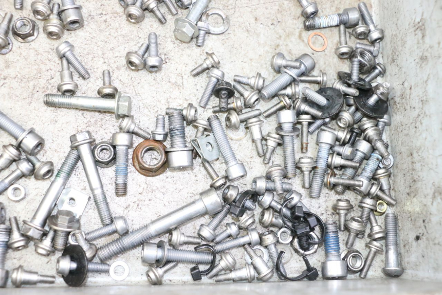 photo de WOREK ŚRUB I ŚRUBEK BMW G310 R 310 (2016 - 2020) - Zoom stanu zużycia