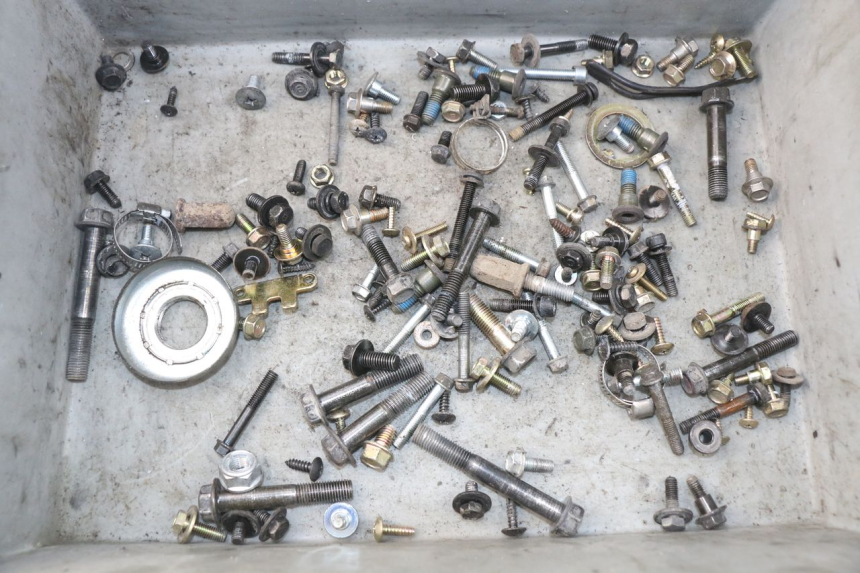 photo de WOREK ŚRUB I WKRĘTÓW SYM JOYMAX 250 (2013 - 2017) - Widok główny