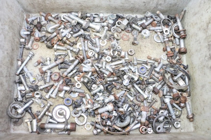 photo de WOREK ŚRUB I ŚRUBEK PIAGGIO MP3 RL 250 (2006 - 2010) - Widok główny