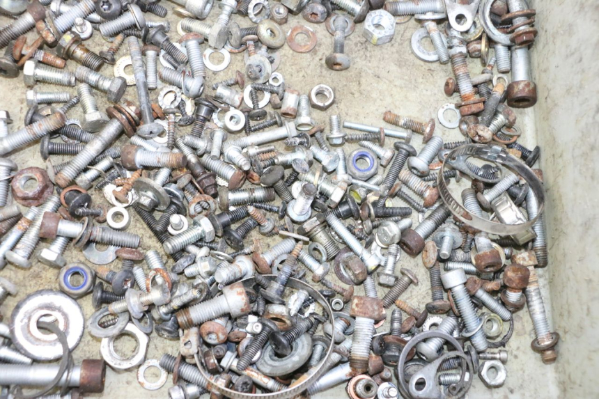 photo de WOREK ŚRUB I ŚRUBEK PIAGGIO MP3 RL 250 (2006 - 2010) - Zoom stanu zużycia