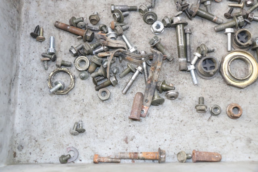 photo de WOREK ŚRUB I WKRĘTÓW SYM ORBIT 2 4T 50 (2008 - 2017) - Zoom stanu zużycia