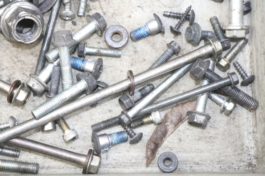 photo de WOREK ŚRUB I WKRĘTÓW SUZUKI SIXTEEN 125 (2008 - 2010) - Zoom stanu zużycia