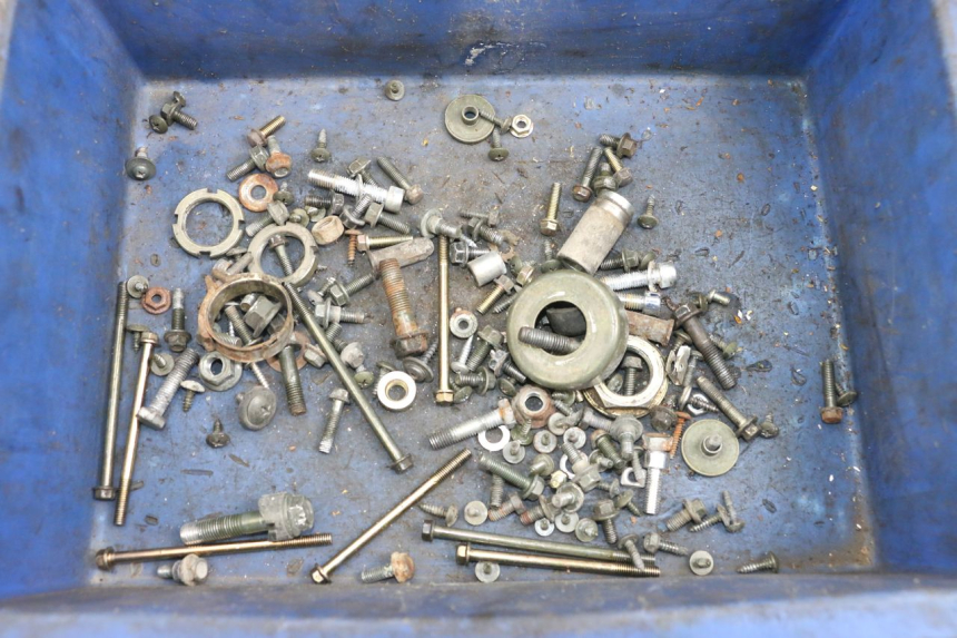 photo de WOREK ŚRUB I WKRĘTÓW BEELINE VELOCE 4T 50 (2011 - 2020) - Widok główny