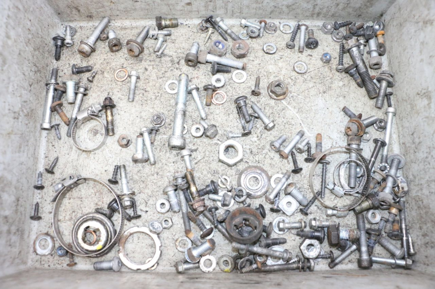 photo de WOREK ŚRUB I WKRĘTÓW PIAGGIO VESPA GTS SUPER IE 125 (2009 - 2016) - Widok główny