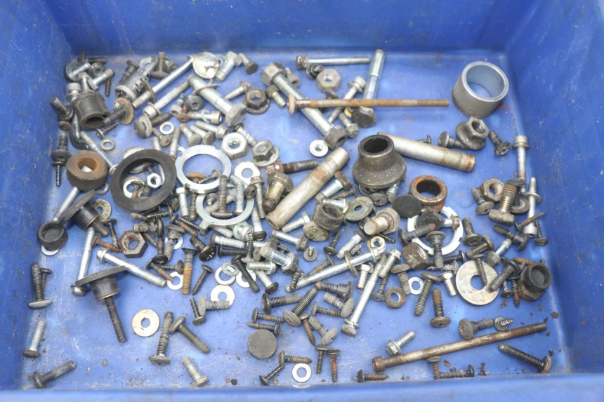 photo de WOREK ŚRUB I ŚRUBEK PIAGGIO X9 EVOLUTION 250 (2003 - 2007) - Widok główny