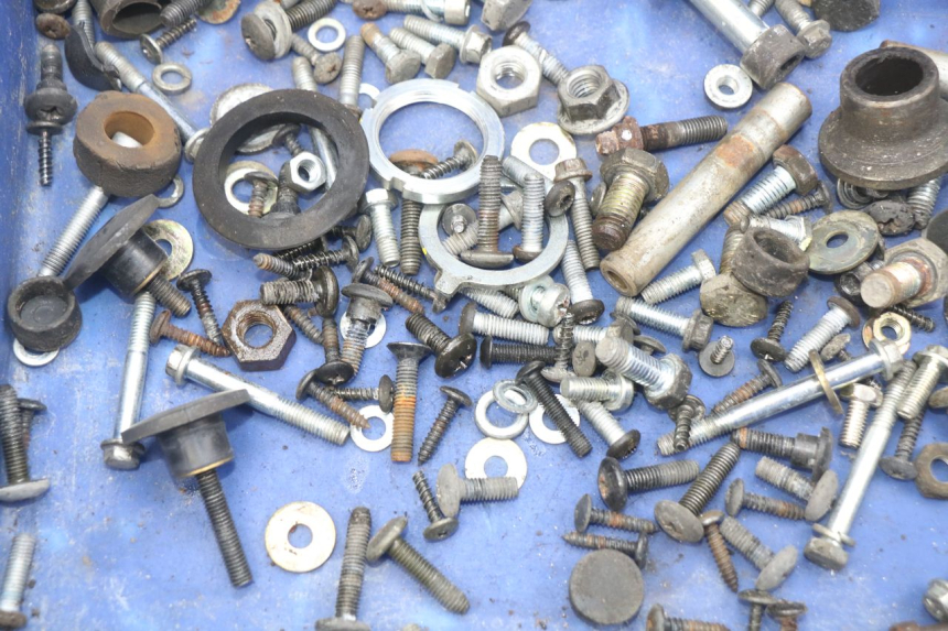 photo de WOREK ŚRUB I ŚRUBEK PIAGGIO X9 EVOLUTION 250 (2003 - 2007) - Zoom stanu zużycia